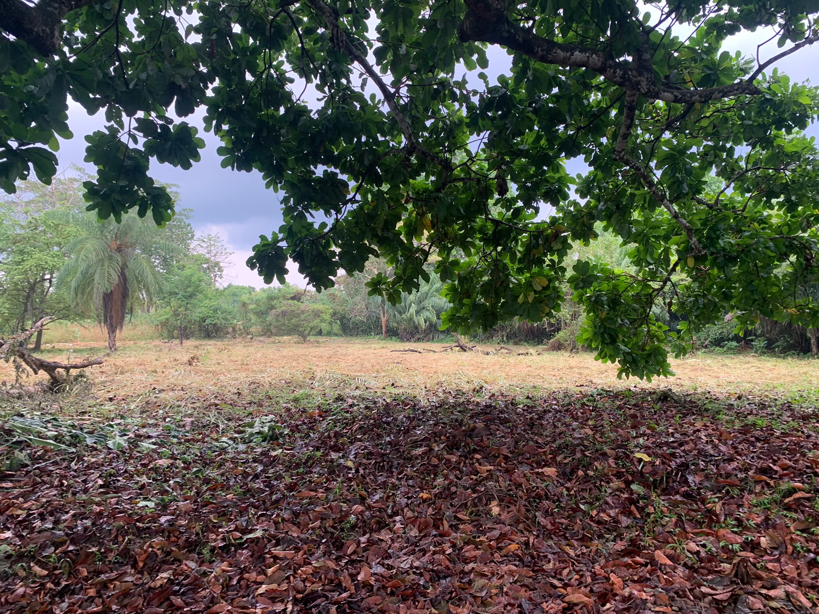 Flat 4000 meter lot with live water for sale — photo 5