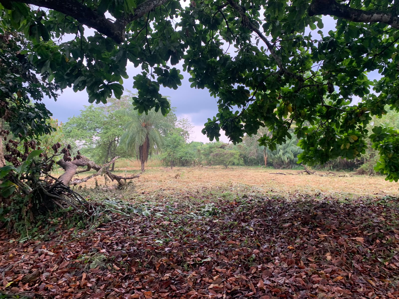 Flat 4000 meter lot with live water for sale — photo 2