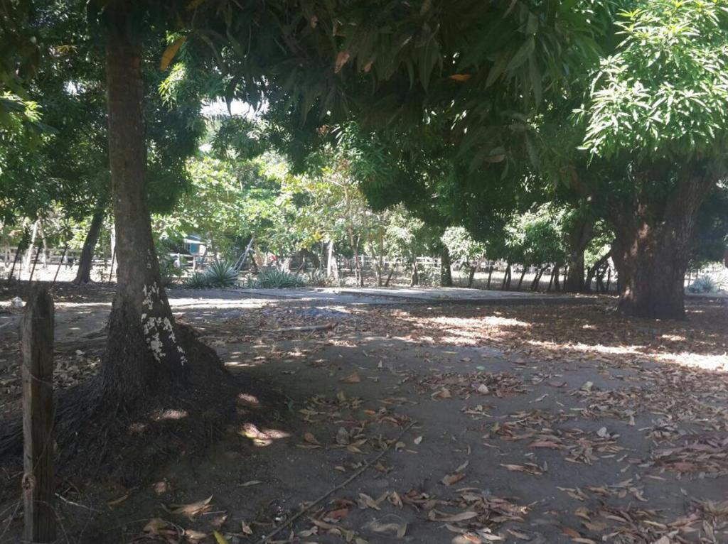 Beach front lot  for sale in Puerto Armuelles — photo 5