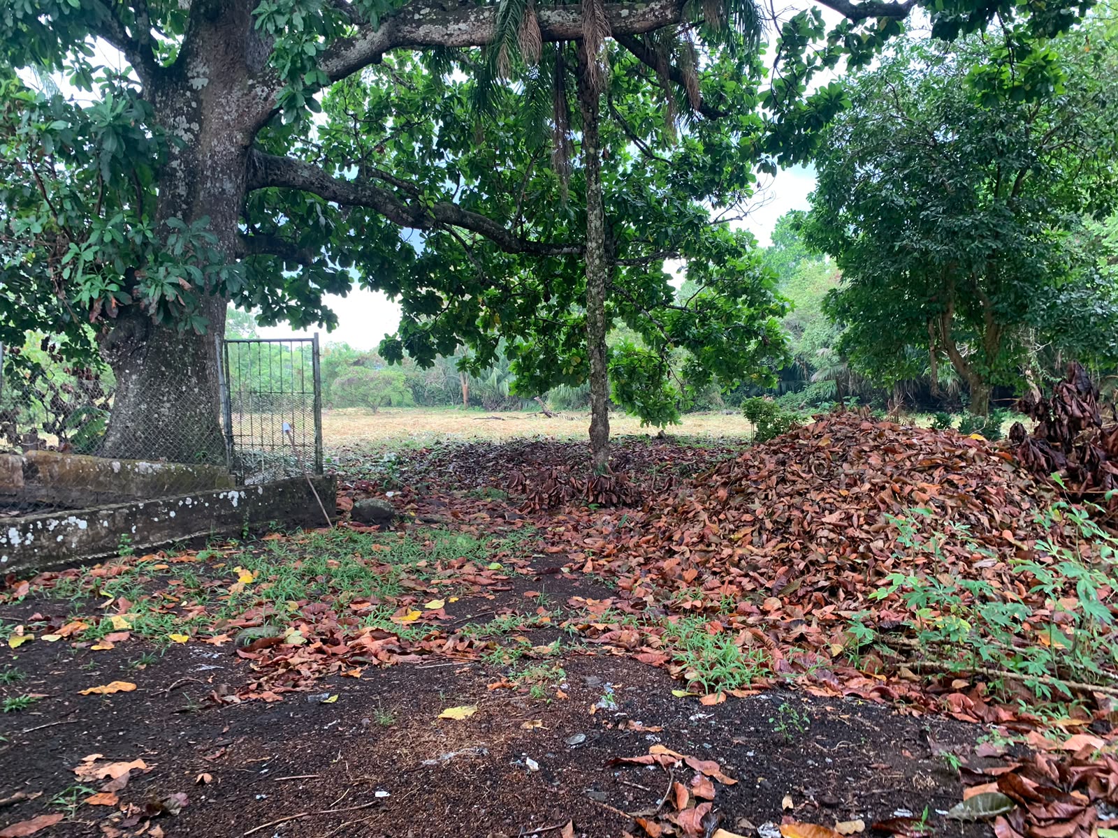 Flat 4000 meter lot with live water for sale — photo 4