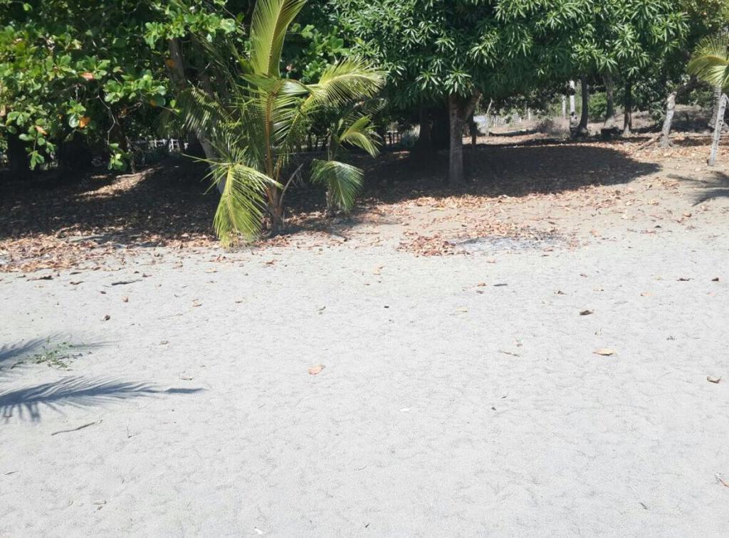 Beach front lot  for sale in Puerto Armuelles — photo 2