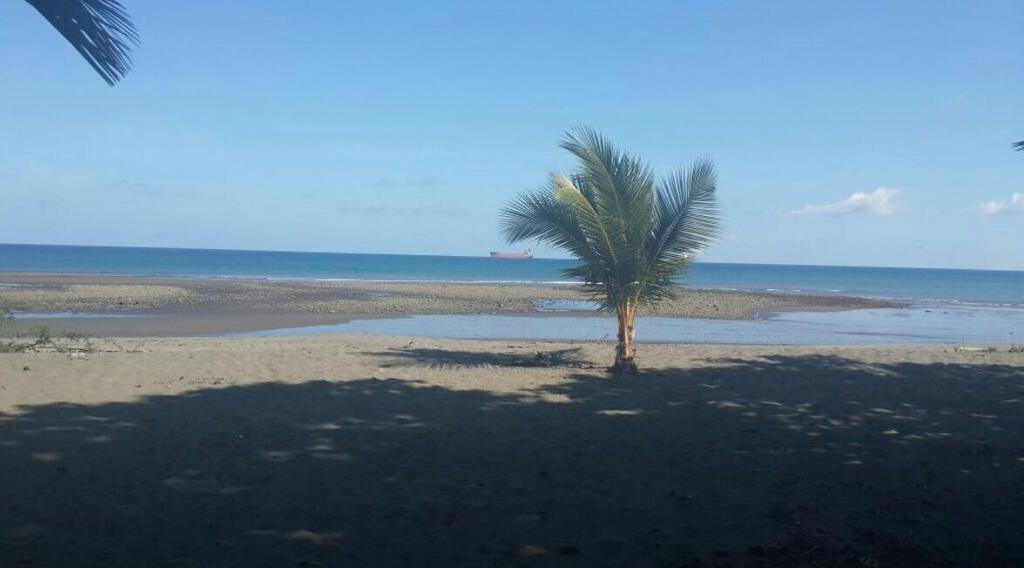 Beach front lot  for sale in Puerto Armuelles — photo 4